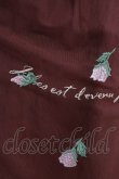 画像4: an another angelus / フラワーロゴ刺繍チュールスカート Free Bordeaux H-26-02-14-021-CA-SK-NS-ZH (4)