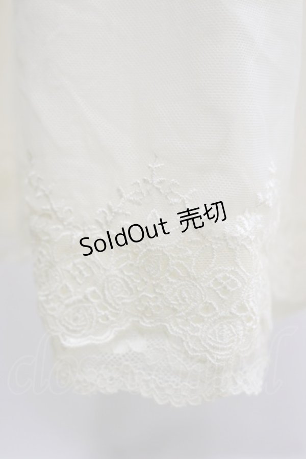 画像3: axes femme / 薔薇レースロングペチスカート M アイボリー H-26-02-16-042-AX-SK-NS-ZH (3)