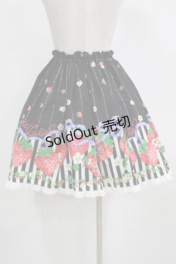 画像3: metamorphose / ストロベリークラウンミニスカート Free ブラック H-26-02-18-032-ME-SK-NS-ZH (3)