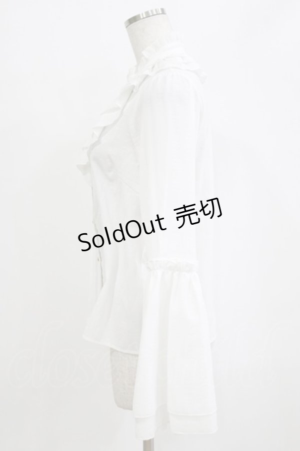 画像2: Amavel / アンティークバックルフレアスリーブブラウス Free オフ H-26-02-18-064-CA-BL-NS-ZH (2)