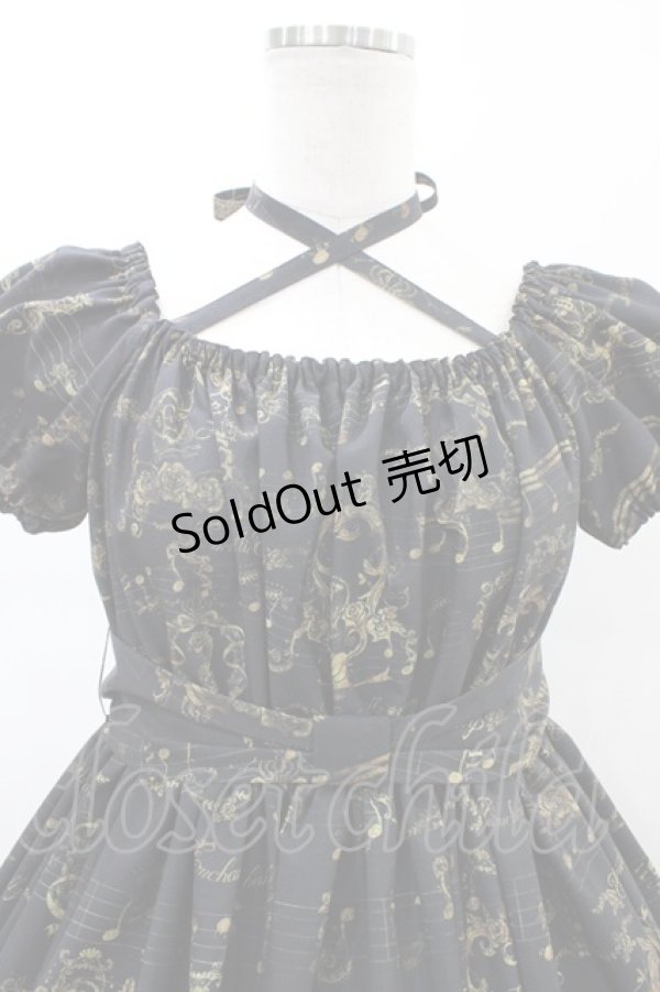 画像4: Enchantlic Enchantilly / アンティークエレガンスピアノワンピース Free ブラック/ワイン H-26-02-19-1035-LO-OP-NS-ZH (4)