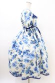 画像3: Enchantlic Enchantilly / ノスタルジアローズワンピース Free オフ/ブルー H-26-02-19-1031-LO-OP-NS-ZH (3)