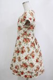 画像2: F&A / 花柄ワンピース Free IVORY H-26-02-20-031-LO-OP-NS-ZH (2)