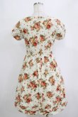画像3: F&A / 花柄ワンピース Free IVORY H-26-02-20-031-LO-OP-NS-ZH (3)