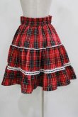 画像3: Eri Aino's Collection / シャーロットの水曜日スカート L レッド H-26-02-23-026-PU-SK-NS-ZH (3)
