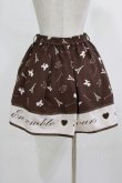 画像3: Ank Rouge / プードルパネルスカート M ブラウン H-26-02-23-023-CA-SK-NS-ZH (3)