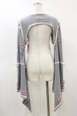 画像2: Ozz oneste / 流水羽衣天女振り袖ボレロ  グレー H-26-02-25-1008-OO-TO-KB-ZH (2)