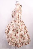 画像2: Victorian maiden / ロココブーケロイヤルオーバードレス Free ロココピーチ H-26-02-25-009-CL-OP-NS-ZH (2)