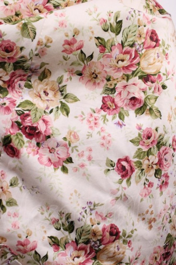 画像5: Victorian maiden / ロココブーケロイヤルオーバードレス Free ロココピーチ H-26-02-25-009-CL-OP-NS-ZH (5)