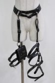 画像1: KILL STAR / Carrion Harness  ブラック H-26-03-03-027-SL-ZA-KB-ZH (1)