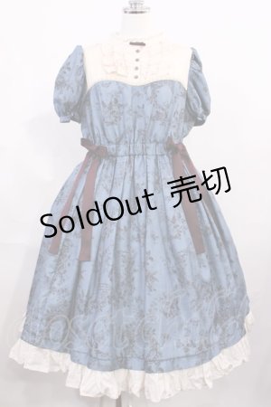 画像: Victorian maiden / ワンダーガーデンサイドリボンワンピース Free ピーコック H-26-03-03-1011-CL-OP-NS-ZH