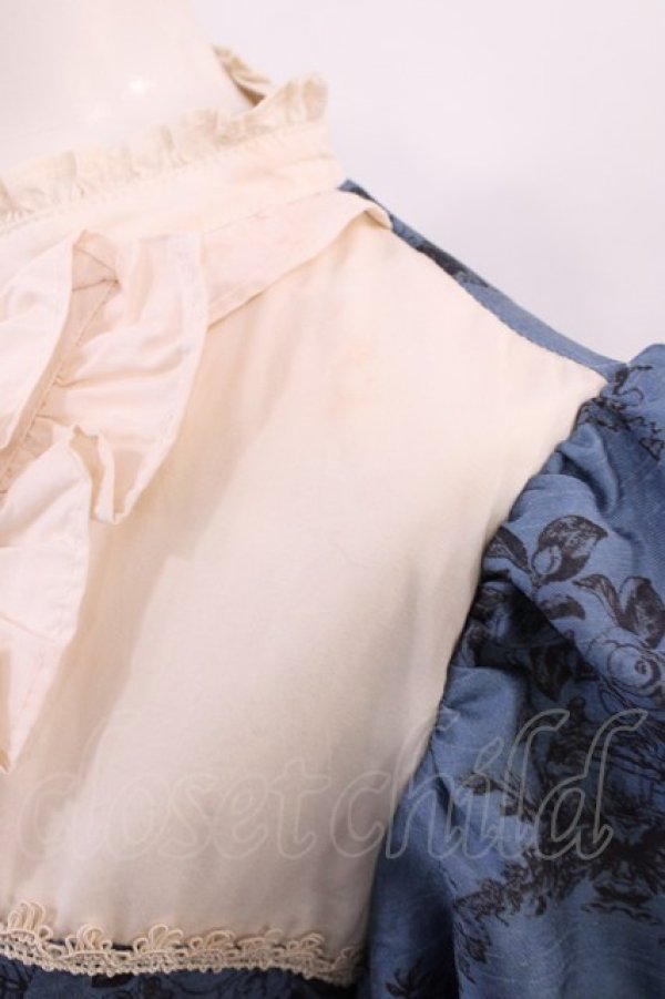 画像5: Victorian maiden / ワンダーガーデンサイドリボンワンピース Free ピーコック H-26-03-03-1011-CL-OP-NS-ZH (5)