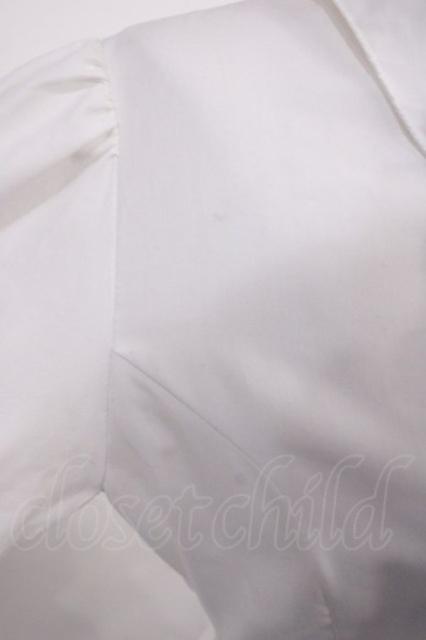 画像5: Victorian maiden / アミーローズブラウスワンピース FREE オフ H-26-03-03-1012-CL-JA-YZ-ZH (5)