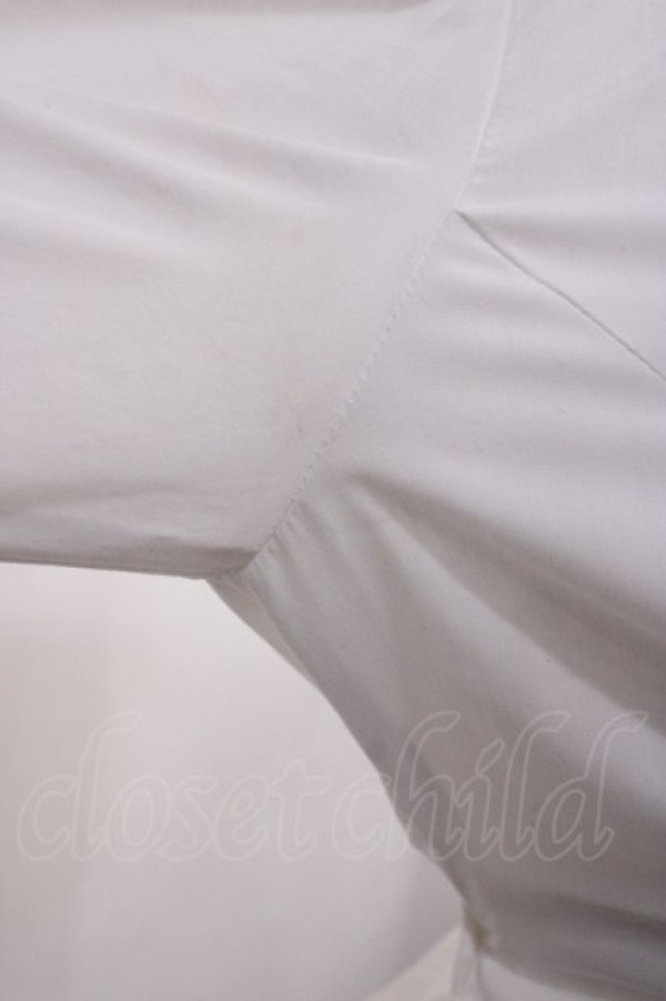 画像6: Victorian maiden / アミーローズブラウスワンピース FREE オフ H-26-03-03-1012-CL-JA-YZ-ZH (6)