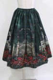 画像1: Enchantlic Enchantilly / 幻影薔薇城〜コウモリ公爵からの招待状〜スカート Free グリーン H-26-03-08-040-LO-SK-NS-ZH (1)