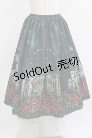 画像: Enchantlic Enchantilly / 幻影薔薇城〜コウモリ公爵からの招待状〜スカート Free グリーン H-26-03-08-040-LO-SK-NS-ZH