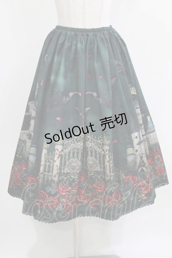 画像1: Enchantlic Enchantilly / 幻影薔薇城〜コウモリ公爵からの招待状〜スカート Free グリーン H-26-03-08-040-LO-SK-NS-ZH (1)