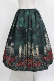 画像3: Enchantlic Enchantilly / 幻影薔薇城〜コウモリ公爵からの招待状〜スカート Free グリーン H-26-03-08-040-LO-SK-NS-ZH (3)