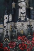 画像4: Enchantlic Enchantilly / 幻影薔薇城〜コウモリ公爵からの招待状〜スカート Free グリーン H-26-03-08-040-LO-SK-NS-ZH (4)
