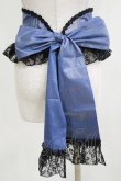 画像3: Enchantlic Enchantilly / ローズレースリボンコルセット Free ブルー H-26-03-08-058-LO-SK-NS-ZH (3)
