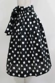 画像2: heavenly garden / ドットスカート Free ブラック H-26-03-10-1024-GO-SK-NS-ZH (2)