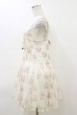画像3: LIZ LISA / 花柄チュールワンピース Free オフ H-26-03-11-1066-LO-OP-NS-ZH (3)