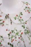 画像3: Ank Rouge / いちご柄シフォンワンピース M オフ H-26-03-12-1011-CA-OP-NS-ZH (3)
