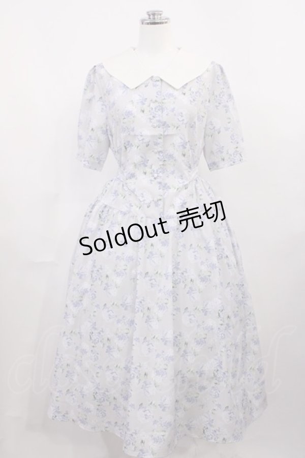 画像1: Fi.n.t / ビッグクレリック衿ローズ柄ワンピース Free L/BLUE H-26-03-12-1004-CA-OP-NS-ZH (1)