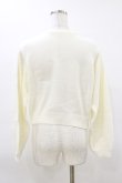 画像2: Fi.n.t / ローズミニブーケ刺繍ニットプルオーバー Free OFF WHITE H-26-03-12-037-CA-TO-NS-ZH (2)