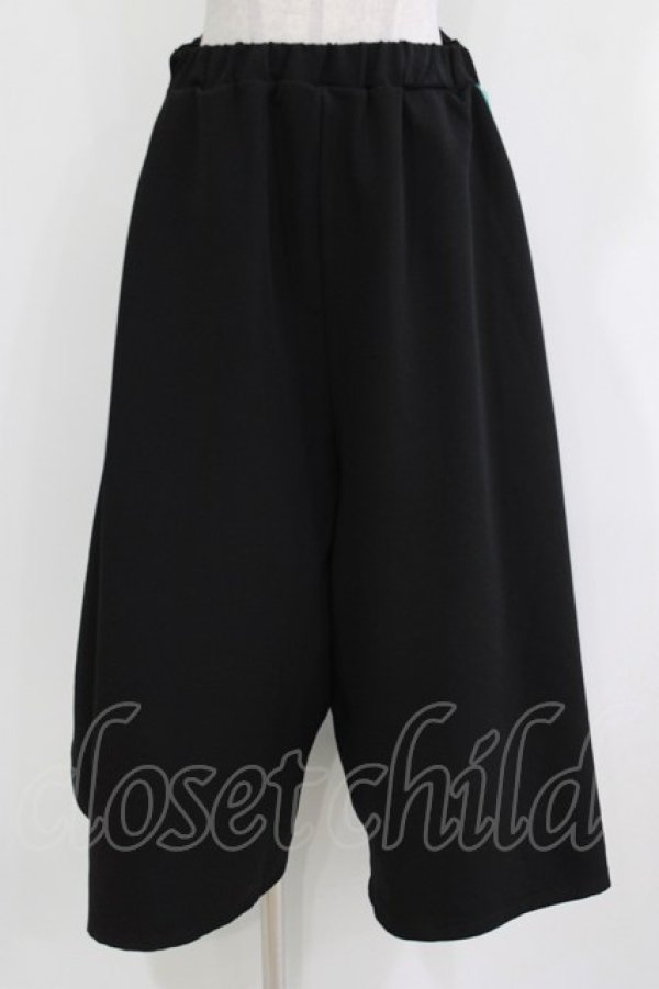 画像1: Deorart / サイドライン・スカート風ワイドパンツ M ブラック×ミント H-26-03-14-1015-PU-PA-KB-ZH (1)