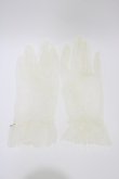画像1: Amavel / レース手袋  オフ H-26-03-15-1001-CA-ZA-NS-ZH (1)