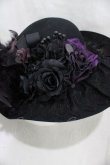 画像3: Amber Snow / フェザーコサージュハット  黒 H-26-03-17-1006-PU-AC-KB-ZH (3)