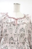 画像4: Melody BasKet / Rose Princessブラウスワンピース L ピンク H-26-03-17-1021-LO-OP-KB-ZH (4)