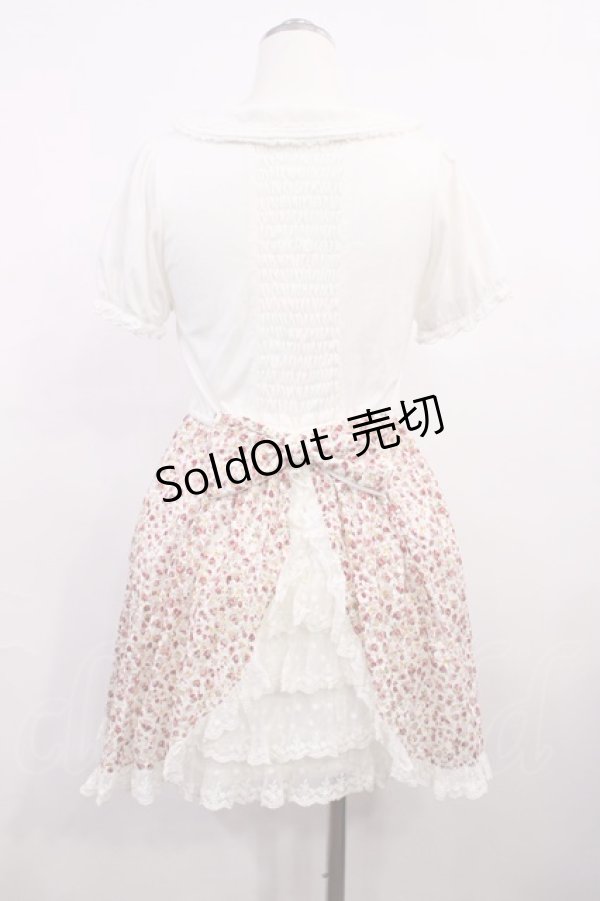 画像2: LIZ LISA / ドッキング花柄チュールワンピース Free オフ H-26-03-18-1015-LO-OP-NS-ZH (2)