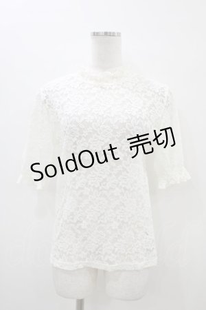 画像: Fi.n.t / ローズレースハイネックトップス Free オフ H-26-03-20-1056-CA-TO-NS-ZH