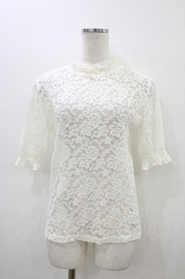 画像1: Fi.n.t / ローズレースハイネックトップス Free オフ H-26-03-20-1056-CA-TO-NS-ZH (1)