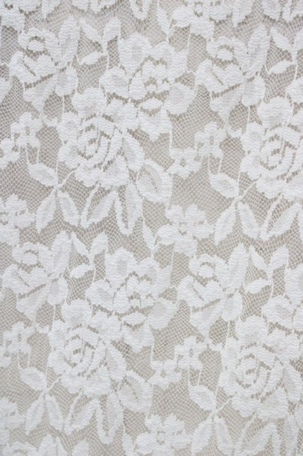 画像3: Fi.n.t / ローズレースハイネックトップス Free オフ H-26-03-20-1056-CA-TO-NS-ZH (3)