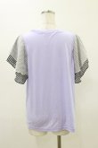 画像2: Rydia / シフォンスリーブカットソー  ラベンダー H-26-03-20-013-PU-TO-KB-ZH (2)