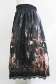 画像2: Lilith House（海外ロリータブランド） / Horrible Wonderland スカートセット XL ブラック H-26-03-21-018-EL-SK-NS-ZH (2)