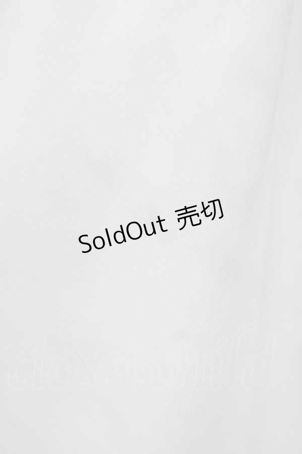 画像5: Amavel / Dark Chember Maidミドルエプロンジャンパースカート Free ブラック H-26-03-22-1034-CA-OP-NS-ZH (5)