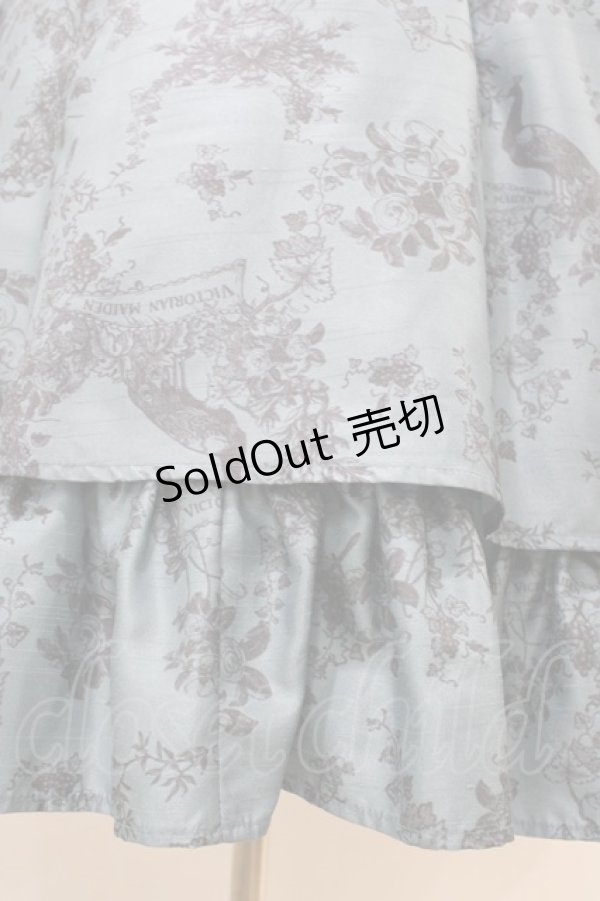 画像5: Victorian maiden / Wunder gardenビスチェドレス Free ピーコック H-26-03-22-1012-CL-OP-NS-ZH (5)