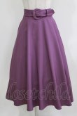 画像1: F&A / カラーパレットスカート Free PURPLE H-26-03-23-011-LO-SK-NS-ZH (1)