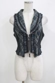 画像1: Ozz Croce / 薔薇刺繍チェック切替ベスト  グレー H-26-03-24-042-OO-TO-KB-ZH (1)