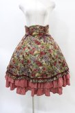 画像1: Victorian maiden / フォレストローズスカート Free グレイベージュ×コーラルレッド Gray Beige x Coral Red H-26-03-24-1027-CL-SK-NS-ZH (1)