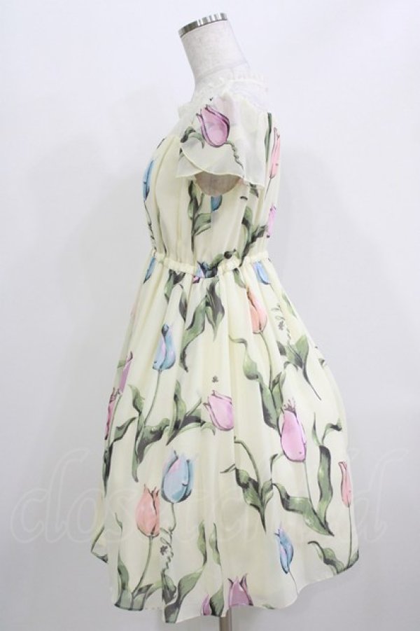 画像2: MILK / チューリーロマンスワンピース  クリームシャーベット H-26-03-24-006-ML-OP-KB-ZH (2)