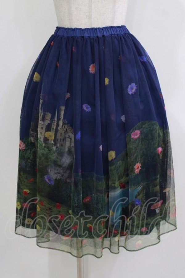 画像1: Jane Marple / Dreamy Dreamミドルチュチュスカート  トワイライト H-26-03-24-013-JM-SK-KB-ZH (1)