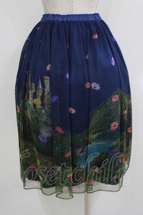 画像3: Jane Marple / Dreamy Dreamミドルチュチュスカート  トワイライト H-26-03-24-013-JM-SK-KB-ZH (3)