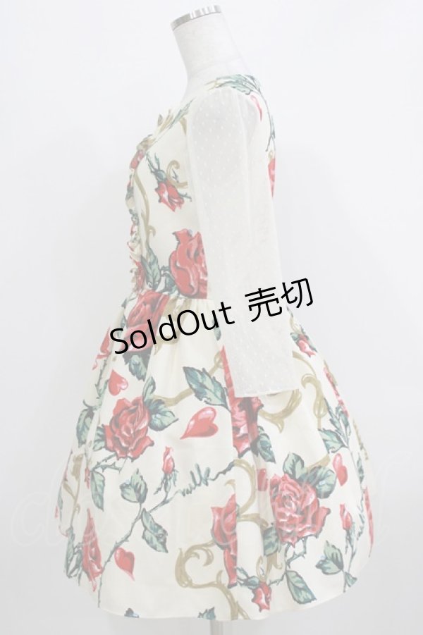 画像2: MILK / ロージーローズドレス  レッドローズ H-26-03-24-002-ML-OP-KB-ZH (2)