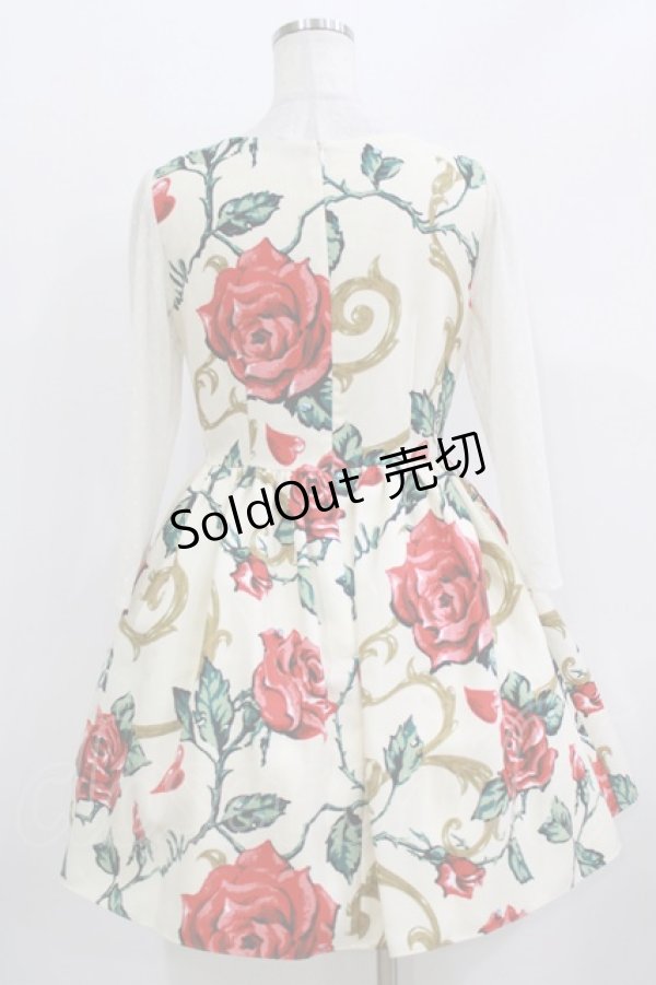 画像3: MILK / ロージーローズドレス  レッドローズ H-26-03-24-002-ML-OP-KB-ZH (3)