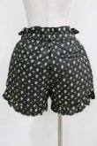 画像3: Candy Stripper / TINY ROSE QUILTING SHORTS 2 ブラック H-26-03-25-024-PU-PA-KB-ZH (3)